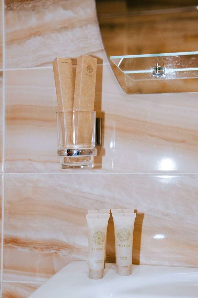 Гостиница Ника Ессентуки-114