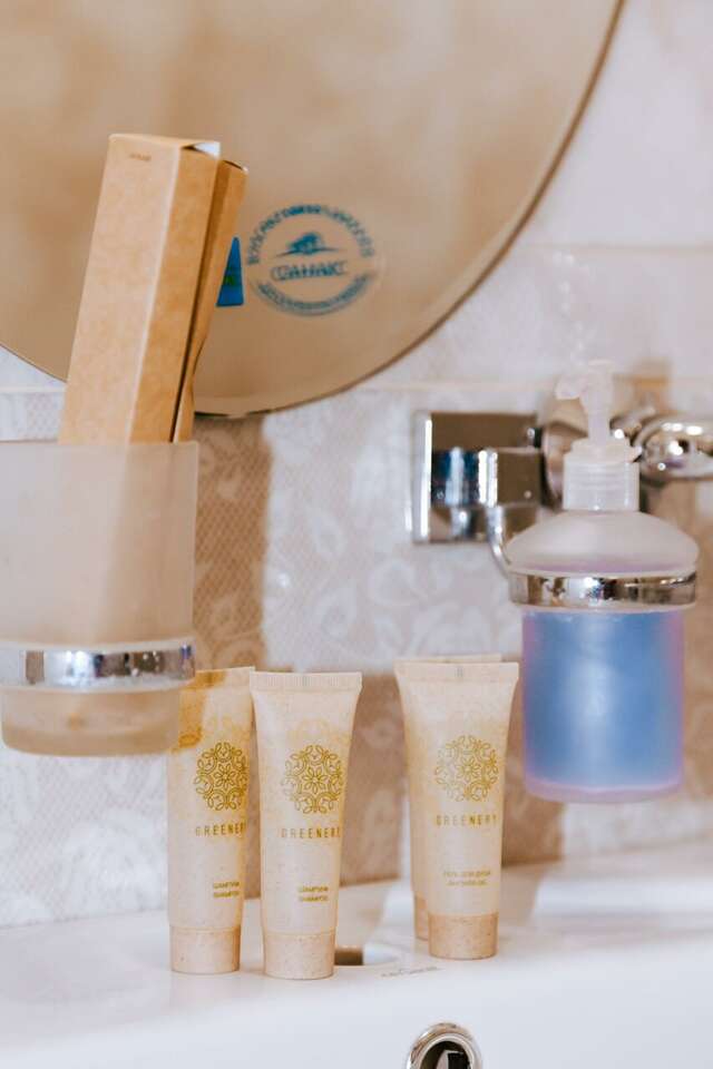 Гостиница Ника Ессентуки-107